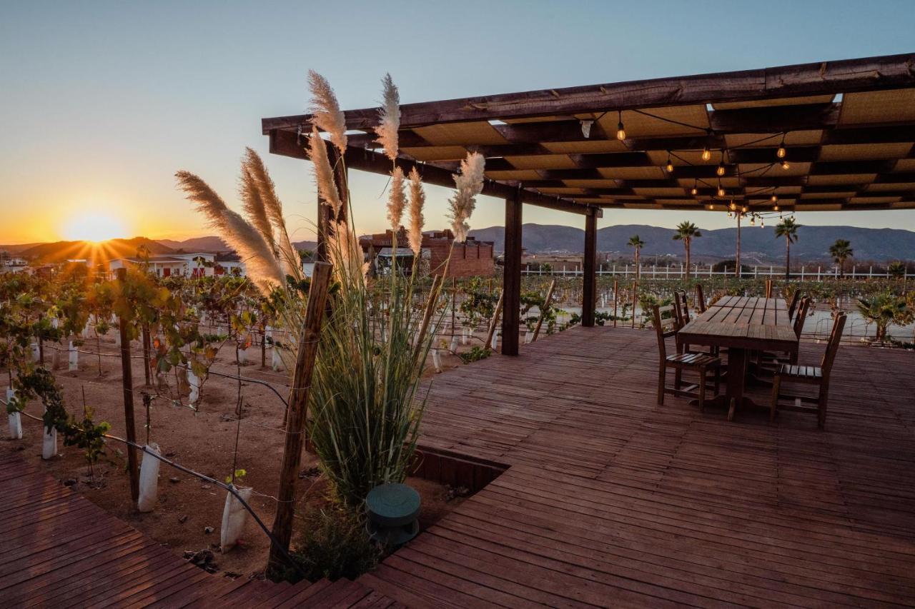 Entrevalle Hotel Boutique Valle de Guadalupe Exterior foto